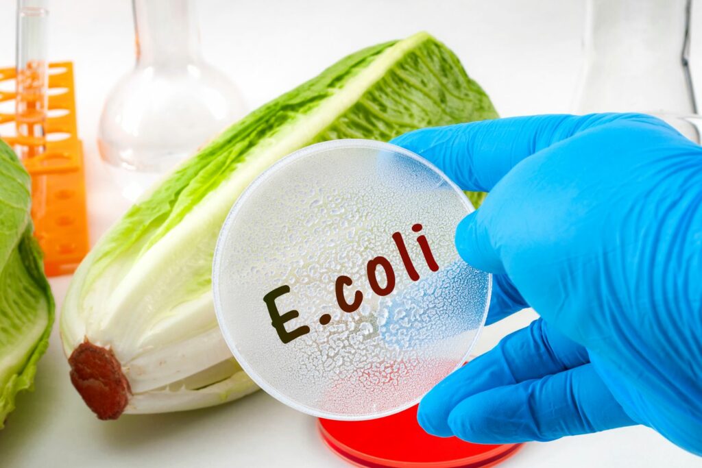E. coli : Nouvelle plainte contre Buitoni, cette fois pour la ligne de pizzas 'Bella Napoli'
