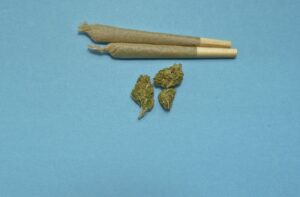 Cannabis : la drogue la plus consommée par les français