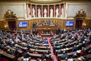 Hémicycle du Sénat ©Sénat.fr