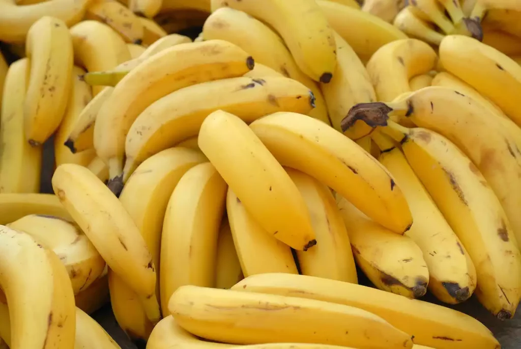 247 kilos de cocaïne trouvées dans des cartons de bananes