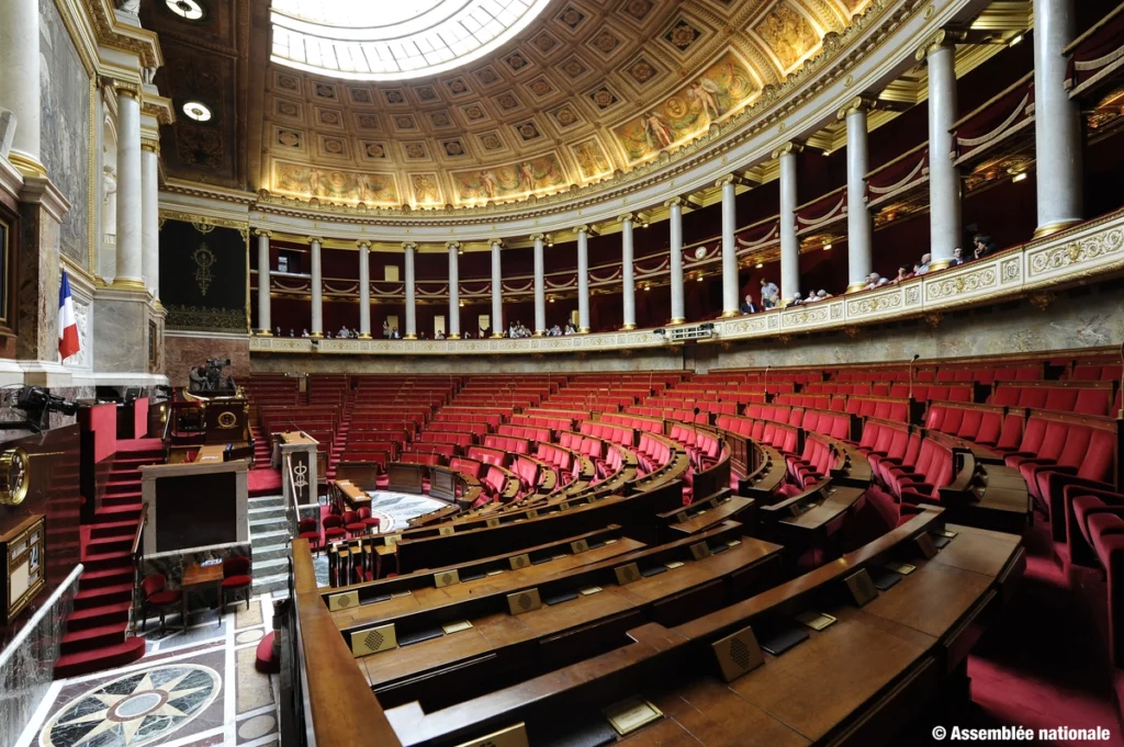 Hémicycle de l'Assemblée nationale ©Assemblée nationale