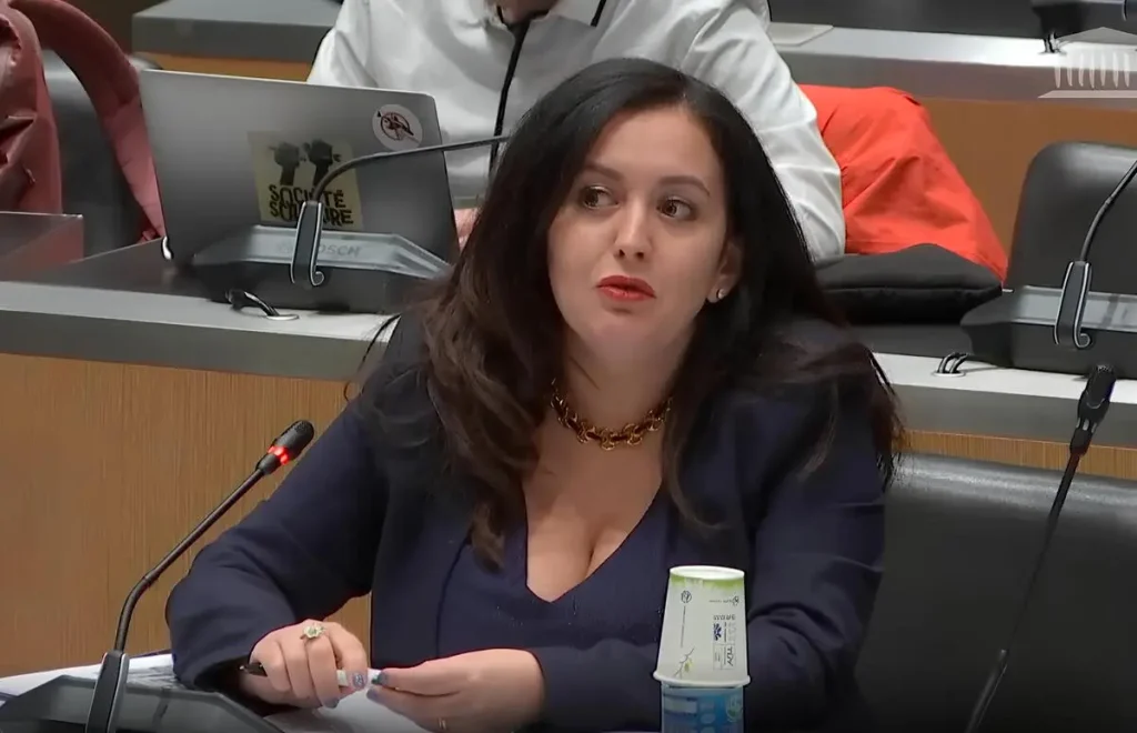 Leïla Chaibi, eurodéputée LFI ©Capture d'écran LCP