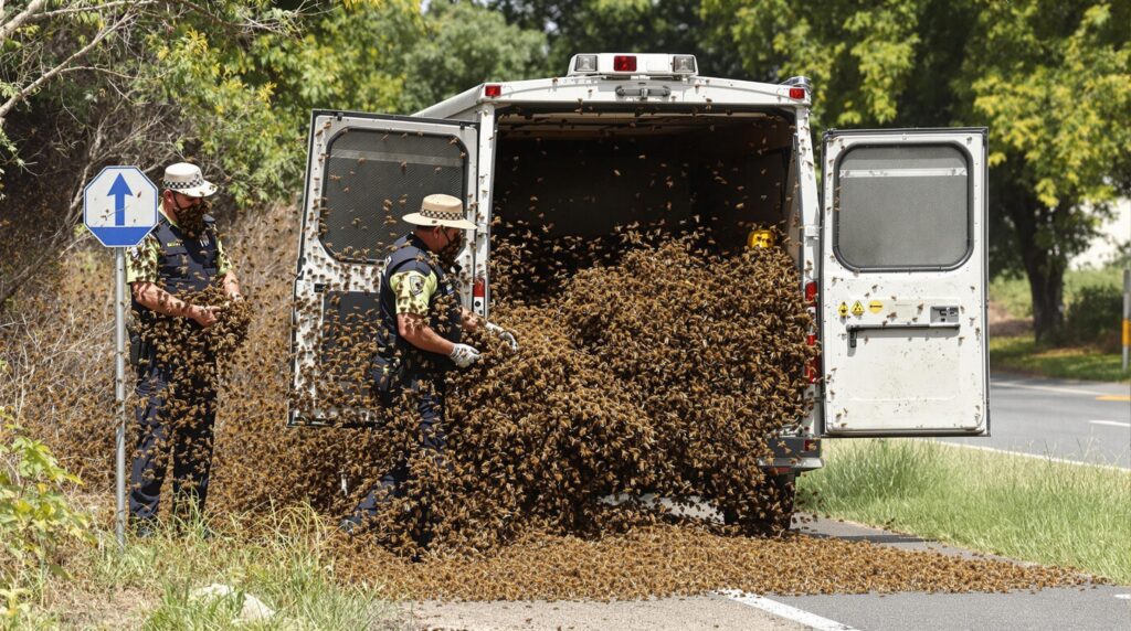 Apiculteur Abeilles Police