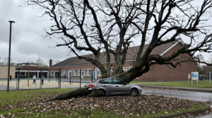 Drame Ecole Arbre