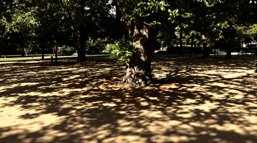 Parc Enfant Ombre