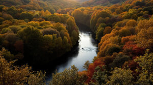 Vologne Automne Sombre