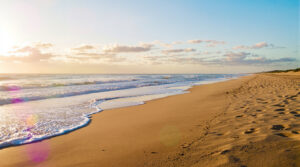 Oc&eacute;an Paix Int&eacute;rieure