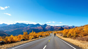 Route Montagne Automne