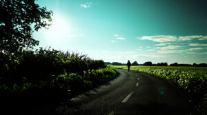 Enl&egrave;vement Val-d'Oise