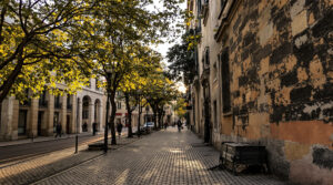 Matin calme Montpellier