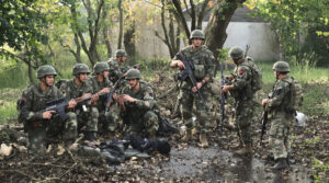 Vaccination Bovine Arm&eacute;e