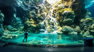 Accident entretien aquarium