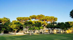 lycee-renoir-cagnes-sur-mer