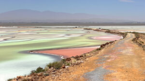 Salins_Chemin_Enquete