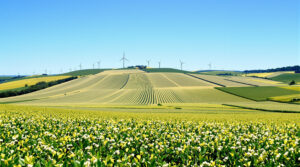 champs_eoliens_naturels