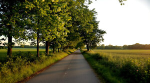 Chemin_Isole_Gironde