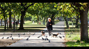 promenade-parc-pigeons