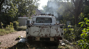 camionnette-silence-ensoleillee