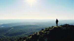 cohabitation_faune_nature