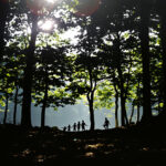 forêt-enfants-silhouettes