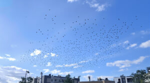 paix_ciel_ukrainien