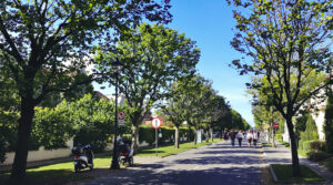 rue_paisible_scooter