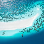 atoll_maldives_tragedie_marine