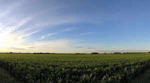 aube-campagne-ciel