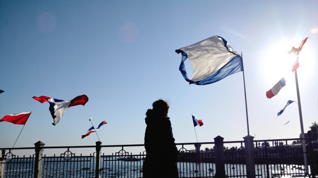 Drapeaux_franco-algériens