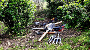Jardin_scene