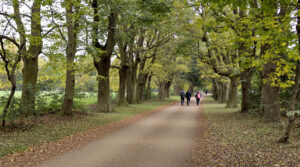 chemin_parc_passants