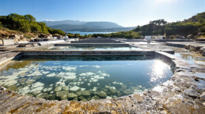 climatisation_bassins_ostreicoles