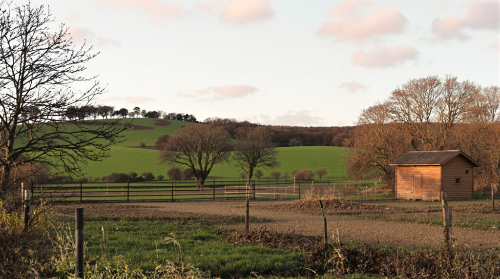 ferme_enclos_matinal