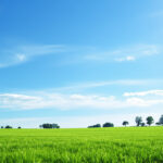 paysage_climatique_résilient
