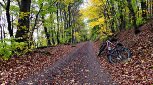 v&eacute;los-abandonn&eacute;s-nature.