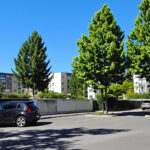 voiture_soleil_parking_résidentiel