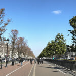 avenue_calme_parisienne