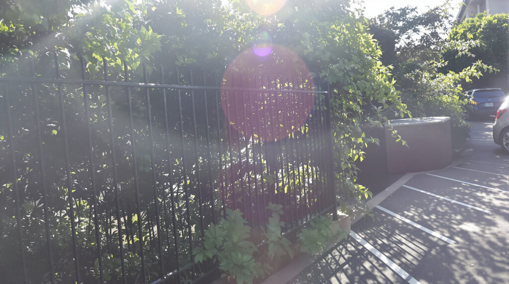 cloture-chaleur-jardin.jpeg
