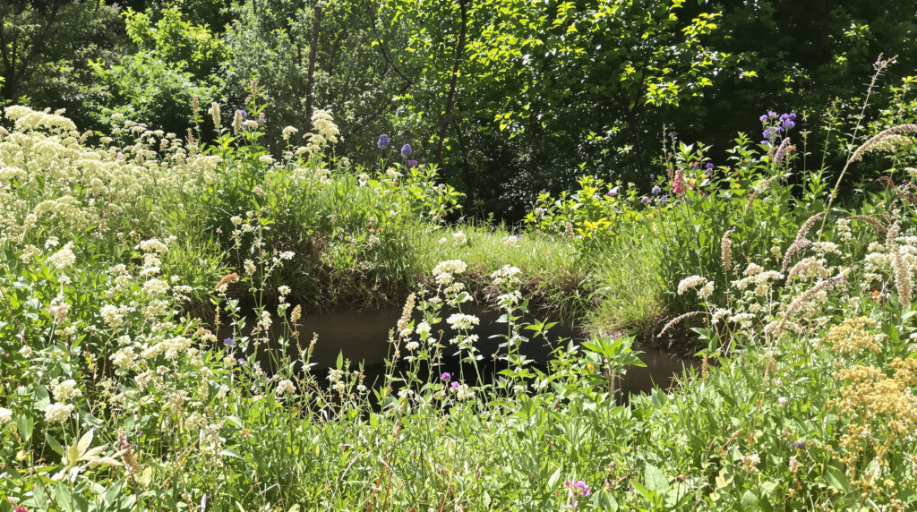 decouverte_puits_campagne