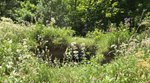 decouverte_puits_campagne