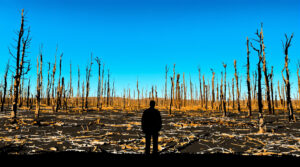 for&ecirc;t_incendie_silhouette