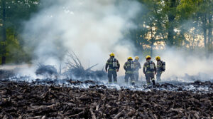 intervention_pompiers_campagne