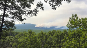 pompier-foret-evacuation