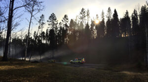 pompiers-foret-soleil