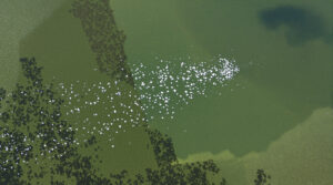 Port_vysotsk_drones