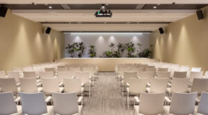 salle_de_conf&eacute;rence_politique