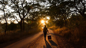 silhouette_chemin_soleil_lever