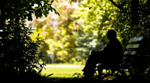 surveillance_jardin_paisible