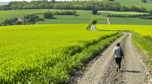 conflit_campagne