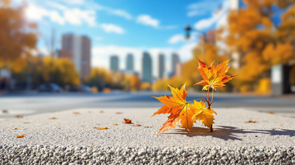 Feuille d'automne sur bitume brûlant